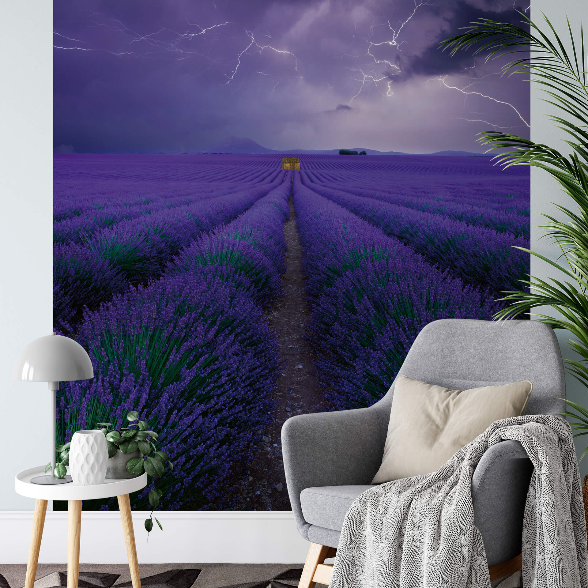 Fototapete Field Of Lavender 1,92 x 2,6 m